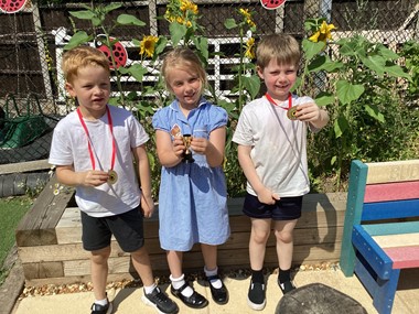 Sunflower competition